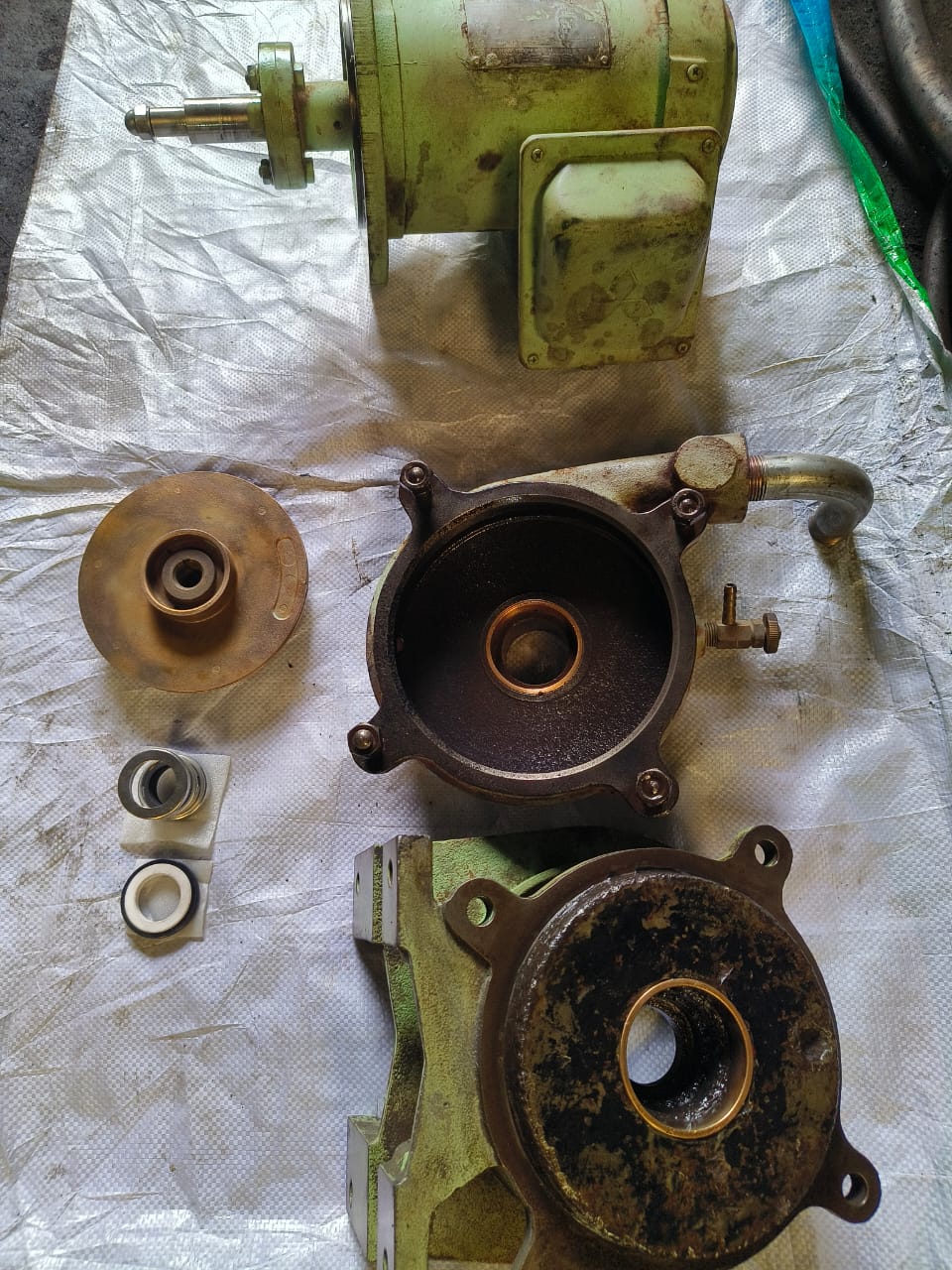 0.75kW 2-pole 60Hz induction motor